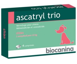 Ascatryl trio chiens 4 comprimés