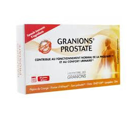 GRANIONS PROSTATE 40 GELLULES