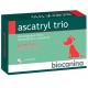Ascatryl trio grand chien 2 comprimés