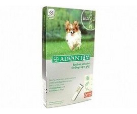 Advantix très petit chien moins de 4 kilos