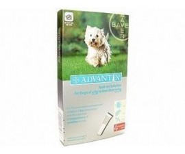 Advantix petit chien 4 à 10 kilos