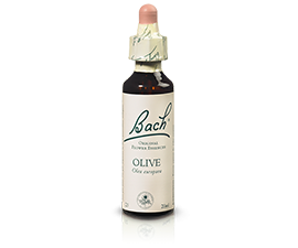 Fleurs de BACH Olive N° 23