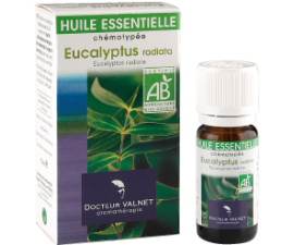 Huile essentielle Eucalyptus radiata