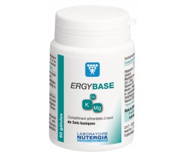 Ergybase