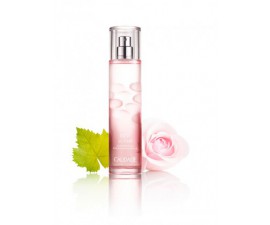  EAU FRAÎCHE ROSE DE VIGNE 50ml